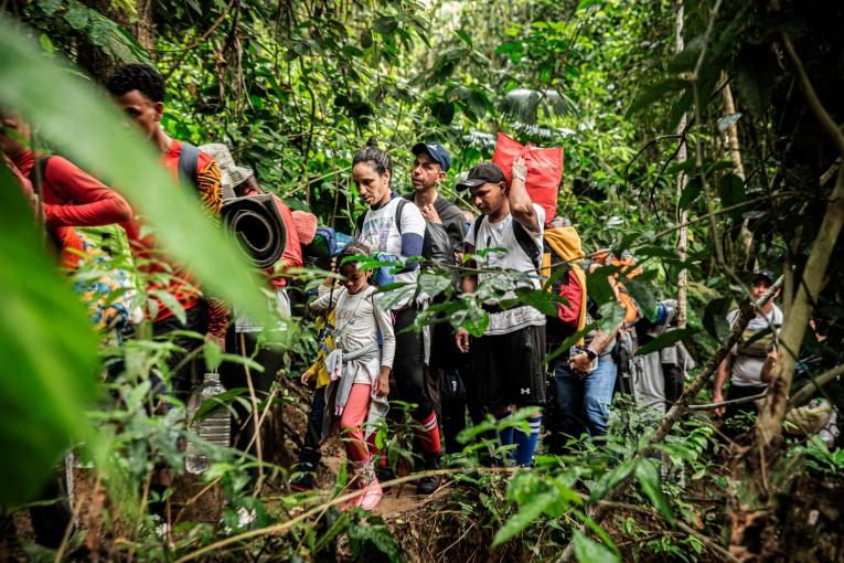 De janvier à Novembre 2023, près d'un demi million de migrants ont traversé la jungle du Darien, entre la Colombie et le Panama. 