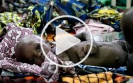Vaccins : un destin évitable