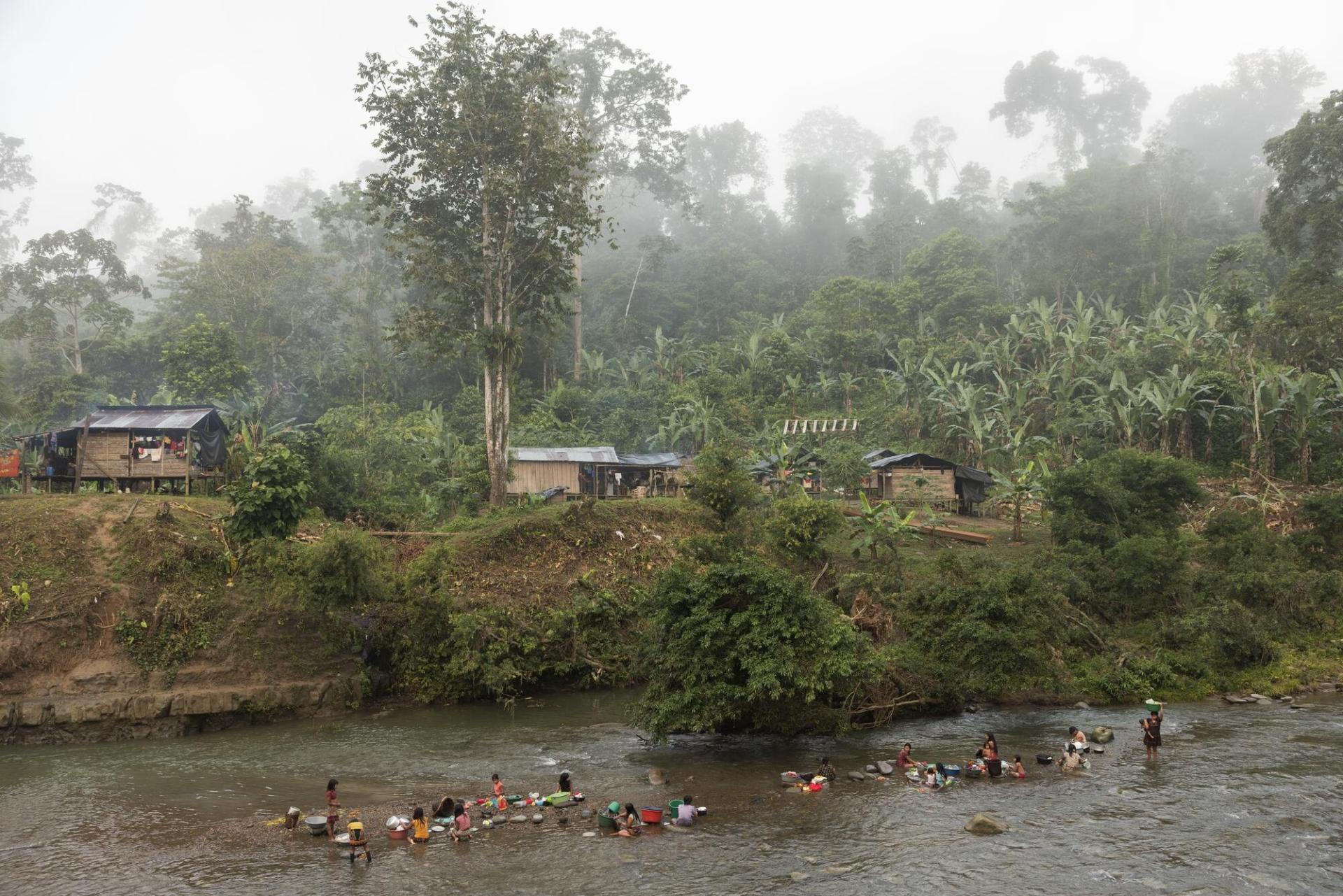 Vue des abords du fleuve Baudó, crucial pour les communautés locales, aussi bien pour le transport que pour la pêche.