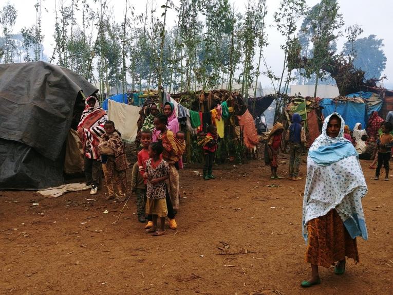 Des abris temporaires dans un camp de déplacés à Gedeb, dans la zone de Gedeo, en Ethiopie.
 © Markus Boening/MSF