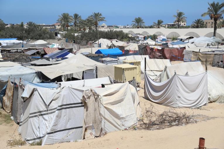 Vue du camp de personnes déplacées d'Al Mawasi à Khan Younès, dans le sud de Gaza. Août 2024.
 © Nour Daher