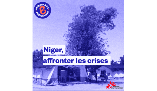 [Podcast] Niger, affronter les crises