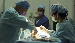 Hôpital MSF de Choscal. Une fillette âgée de douze doit subir une amputation de toute urgence.