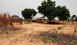 Region de Zinder : l\'équipe MSF est partie de Magaria pour visiter Bakadougou l\'un des 85 villages de l\'aire de santé de Dan Tchiao.
 Claude Mahoudeau / MSF