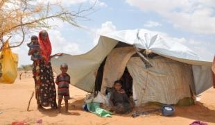 Dans le désert au nord est du Kenya les nouveaux réfugiés arrivés de Somalie vivent dans des abris précaires faits de bâtons de cordes et de bâches en plastique.  Nenna Arnold /MSF