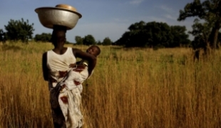 MSF et l\'agence photo VII lancent Starved For Attention une campagne multimédia contre la malnutrition infantile qui touche 195 millions d\'enfants dans le monde. Il est possible de prévenir et de soigner cette maladie grâce à des stratégies efficac