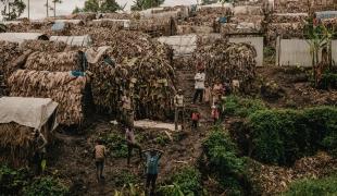 Vue du site de personnes déplacées de Bugeri dans la région de Minvo, au Sud-Kivu. Les habitants sont obligés de construire leurs abris à l'aide de branche et de feuillage en l'absence d'une aide humanitaire suffisante.
