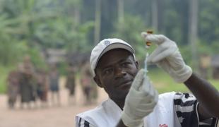 1210 vaccination congo brazza Lam Duc Hien